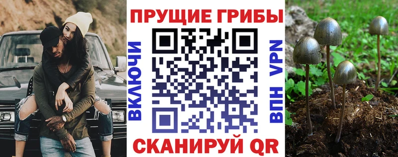 даркнет Telegram Шилка Псилоцибиновые грибы мухоморы